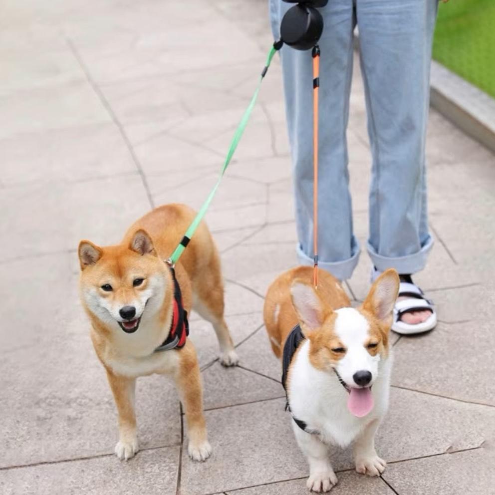Pawsh Living™ Dual Retractable Dog Leash