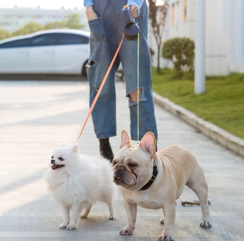 Pawsh Living™ Dual Retractable Dog Leash